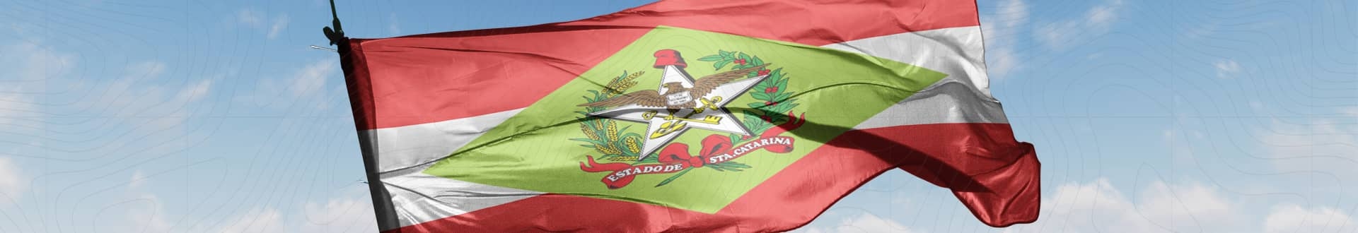 Érico Vinicius 3000 (NOVO): candidato a Deputado Federal por SC