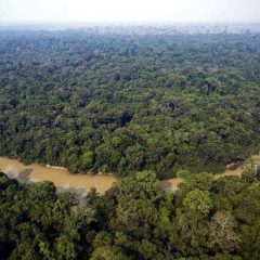 Em qual ano o INPE registrou o maior número de focos de queimadas?